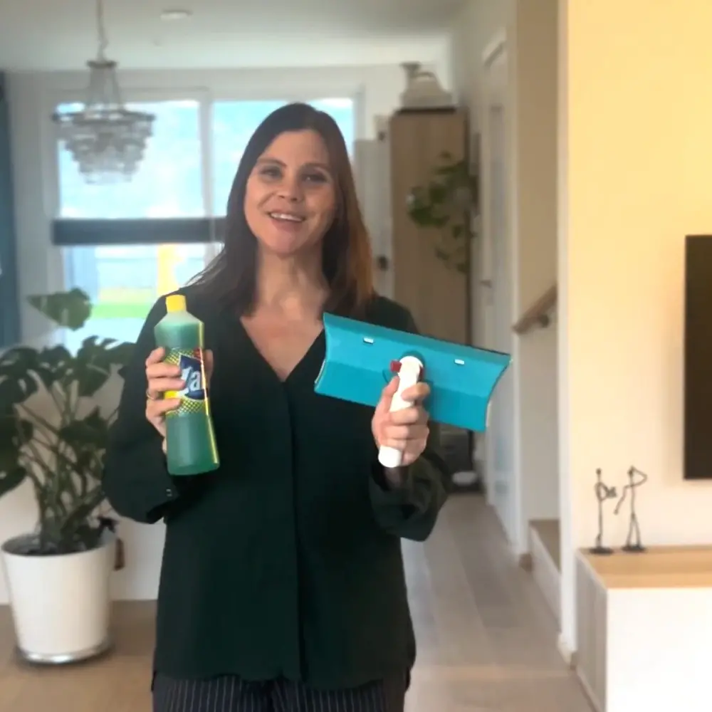 praktisk vindusvask 2